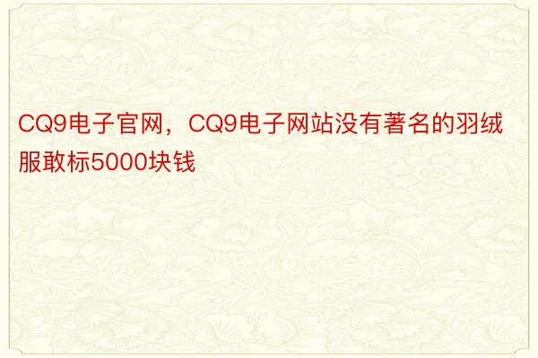 CQ9电子官网，CQ9电子网站没有著名的羽绒服敢标5000块钱