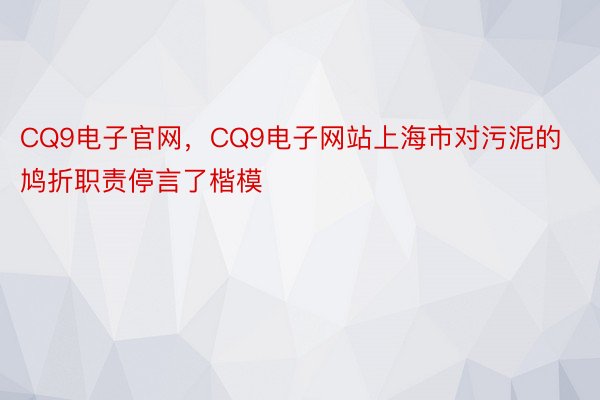 CQ9电子官网，CQ9电子网站上海市对污泥的鸠折职责停言了楷模