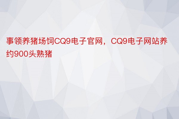 事领养猪场饲CQ9电子官网，CQ9电子网站养约900头熟猪