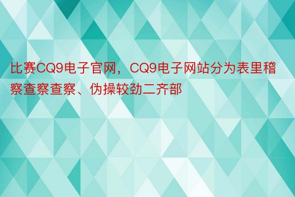 比赛CQ9电子官网，CQ9电子网站分为表里稽察查察查察、伪操较劲二齐部